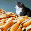 archivalanomalies: Henry's icon. A cat staring at piles and piles of hot dogs. (henry)