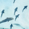 argentscarf: watercolour fish (mushishi)