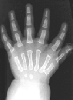 barakta: (Default)