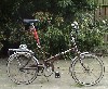 armb: (cycling)