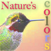 linaelyn: (birding colors by Estel)