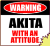 kinoida: (akita_with_attitude)