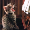 off_coloratura: (singing cat)
