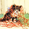 off_coloratura: (Kitty yarn tangle)