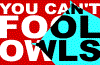 owlboy: (Owls - Can't fool owls)