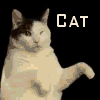 meredithp: (kitty dance)
