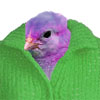 secretagentmoof: (Default)