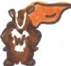 wonderbadger: (Default)