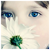 illuminated_sin: A close-up picture of a child's face partially obscured by a daisy she is sniffing (Child and daisy)