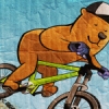 ext_759001: (bike)
