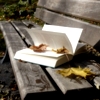alithea: Photo of an open book on a park bench with some fallen leaves (Books)