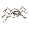 elsewhence: (common eye spider)