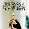 apiphile: (the trick)