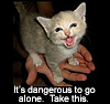 one_word: (Fierce kitty)