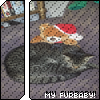kristy: Buddy (Buddy)