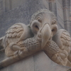adaeze: (Dodo)
