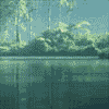 maugletta_on_dream: (китай)