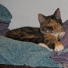 kinzel: (Comfy)