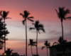 cmf: (Mexican sunset)