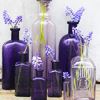 peripety: (purple bottles)
