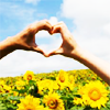 supercheesegirl: (heart - sunflowers)