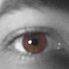 chezmax: (Default)