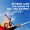 corvidae9: (attack!)