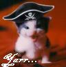 jamesq: (Pirate kitty)