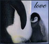 aimeelicious: (love)