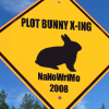 jaunthie: (NaNo Plot Bunny X-ing)
