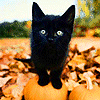 rio_luna626: (Default)