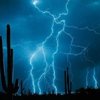 lightning070: (Jake Gyllenhaal Jazz)