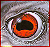 tek2way: Art - Whelan - Cthulhu's Eye (Art - Whelan - Cthulhu's Eye)