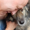 genrich_william: (Me and Sherry)