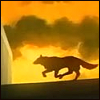 furan_chaos: (Default)