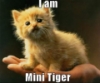 gale_storm: (mini)