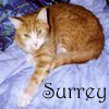 surreysmum: (Default)