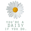 staringiscaring: (daisy if you do)