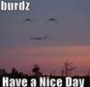 elainetyger: (burdz have a nice day)