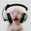 elainetyger: (headphones kitty)
