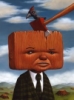 crazymaharajah: (Default)