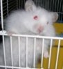 animalunaris: (Default)