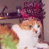 rectangularcat: (Claudia - Happy New Year Kitty)