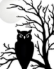 owlstorm_9: (pic#11286544)