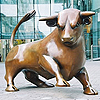 strange_complex: (Birmingham bull)