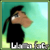 sessifet: (Llama face)