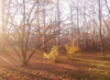 ifnotnow: (pic#11289561)
