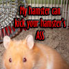 rosered32: (Hamster!)