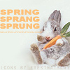 sinfulslasher: (bunny carrot)