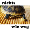bbgreenie: (turtle nichtswieweg)